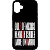 Gulf Of Mexico Lake Ontario Kennedy Cent Custodia per iPhone 16 Plus Funny