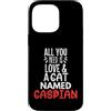 Caspian Cat Name GIfts Custodia per iPhone 14 Pro Max Design con nome del gatto del Caspio, tutto ciò di cui hai bisogno è amore