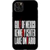 Gulf Of Mexico Lake Ontario Kennedy Cent Custodia per iPhone 11 Pro Max Funny