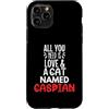 Caspian Cat Name GIfts Custodia per iPhone 11 Pro Design con nome del gatto del Caspio, tutto ciò di cui hai bisogno è amore