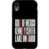 Gulf Of Mexico Lake Ontario Kennedy Cent Custodia per iPhone XR Funny