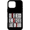 Gulf Of Mexico Lake Ontario Kennedy Cent Custodia per iPhone 16 Pro Max Funny