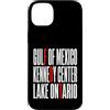 Gulf Of Mexico Lake Ontario Kennedy Cent Custodia per iPhone 14 Plus Funny