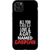 Caspian Cat Name GIfts Custodia per iPhone 11 Pro Max Design con nome del gatto del Caspio, tutto ciò di cui hai bisogno è amore