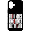 Gulf Of Mexico Lake Ontario Kennedy Cent Custodia per iPhone 16 Funny
