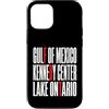 Gulf Of Mexico Lake Ontario Kennedy Cent Custodia per iPhone 12/12 Pro Funny