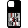 Gulf Of Mexico Lake Ontario Kennedy Cent Custodia per iPhone 15 Funny