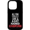 Caspian Cat Name GIfts Custodia per iPhone 14 Pro Design con nome del gatto del Caspio, tutto ciò di cui hai bisogno è amore