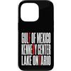 Gulf Of Mexico Lake Ontario Kennedy Cent Custodia per iPhone 13 Pro Funny