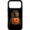 Halloween Dinosau Lover Jackolantern Pum Custodia per iPhone 17 Pro Max Dinosauro Halloween T-Rex Lover Jack O Lanterna faccia zucca