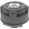 ASHIKA Tappo, radiatore 33-00-042
