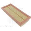 Blue Print Filtro Aria Citroen Nemo Adp152203