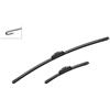 Bosch Kit Spazzole Ar128S 650/300Mm 3397014128
