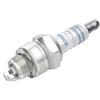Bosch Candela 242235665