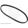 Blue Print Cinghia Distribuzione Suzuki Vitara 198803 Adk87503