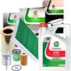 CASTROL Kit Tagliando Castrol Renault Clio II 1.2 4 Filtri + 4L GTX 10W-40