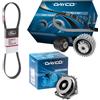 DAYCO Kit Distribuzione Dayco KTB761 Pompa Acqua DP180 Cinghia Servizi Gates 6PK1345XS