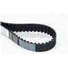 CONTINENTAL CTAM Contitech Cinghia Dentata Ct 1042 Land Freelander 2.0 Ct1042