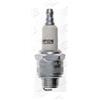 Champion Rj19Lm Scatola Da 10 Candele Oe. Appl.Agri \ Rj19Lm/T10