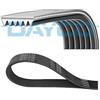 Dayco Cinghia Trapezoidale Pv 6Pk1250