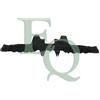 Equal Quality Staffa Griglia Audi Q3 12> P5127
