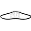 Febi Bilstein Cinghia Poly-V 28856