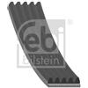Febi Bilstein Cinghia Poly-V 28866
