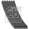 Febi Bilstein Cinghia Poly-V 28908