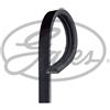 Gates Acura Integra Tre Volumi Integra 2 Volumi /Coda Sp 3Pk715