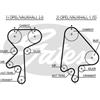 Gates Opel Astra F 2 Volumi /Coda Spiovente (53_, 54_, 5 5368Xs
