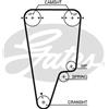 Gates Honda Cr-V I (Rd) 5505Xs