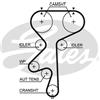 Gates Opel Astra G 2 Volumi /Coda Spiovente (F48_, F08_) 5542Xs