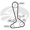 Gates Cinghia Dist . Jeep Wrangler Iii 2.8 Tdci 5645Xs