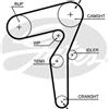 GATES Kit Cinghie Dentate Gates K025650Xs Opel, Fiat