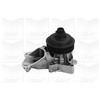 Graf Pompa Acqua Bmw 320D Pa1046