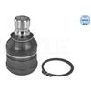 Meyle Snodo Sosp Ci C Crosser - Pe 4007 32-160100025