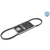Meyle V-Ribbed Belt 500030740