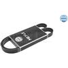 Meyle V-Ribbed Belt 500061175