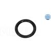 Meyle Anello 100 121 0095 Anello 19,6X3,6 1001210095