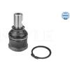 Meyle Snodo Sosp. Anter. Dx Chr Voyager Ii-Iii 44-160100001