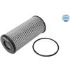 Meyle Oil Filter 1003220022