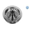 Meyle Wheel Hub 1004070063