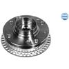 Meyle Wheel Hub 1004070074