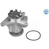 Meyle Water Pump 53-132200007