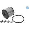 Meyle Fuel Filter 11-163230000