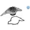 Meyle Water Pump 1130128100