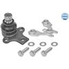 Meyle Snodo Sosp Dx/Sx Vw Golf Ii-Iv 1160107154