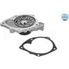 Meyle Pompa Aqua Opel-Renault Clio 1,9 D 16-132200004