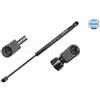 Meyle Ammort Portellone Re Megane Ii 16-409100019