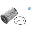 Meyle Oil Filter 3001142102